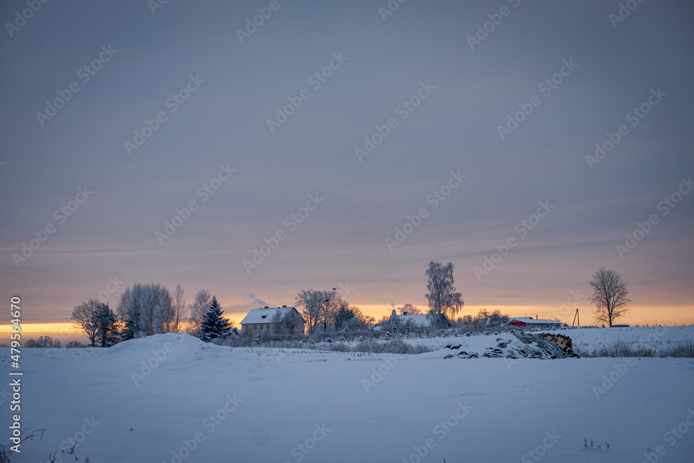 country side house with trees in winter morning sunset with snow and birds