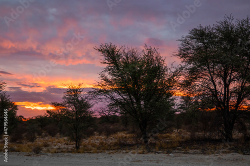 Sunset in the Kgalagadi