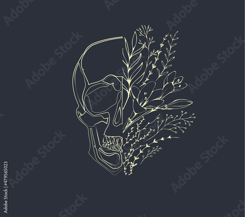 Half shape skull with branch and flowers for tattoo t-shirt print or wall art. Hand drawn wedding herb. Botanical rustic trendy greenery. Vector
