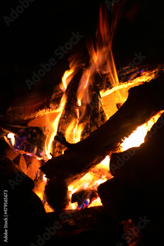 Warm fireplace with lots of trees ready for barbecue. A close up photo of a campfire.