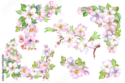 set of watercolor spring flowers