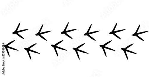 Chicken bird track. Hen footprint steps in black color