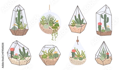 Cute glass florarium, geometric terrarium with succulents and cactus. Terrariums with tropical desert plants for home interior decor vector set. Crystal elements with houseplants in scandinavian style