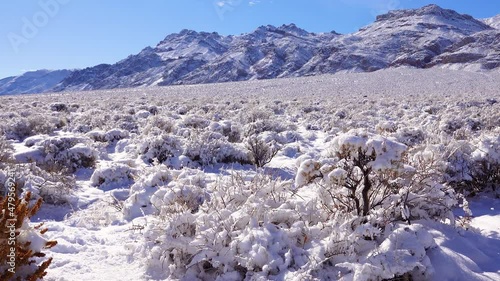 Wallpaper Mural Snow-covered mountain pass, desert plants under the snow in summer.  Death Valley National Park, California Torontodigital.ca