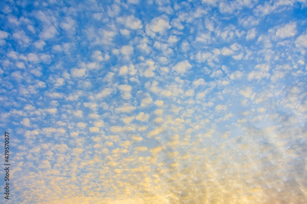 Altocumulus textured clouds in the sunset sky. Altocumulus textured clouds in the sunset sky.