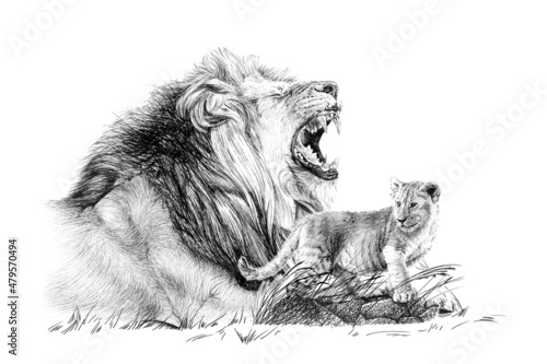 Hand drawn baby and adult lion, sketch graphics monochrome illustration on white background photo