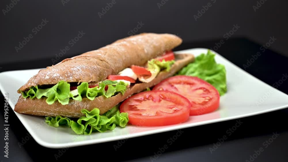 Close up video of tasty vegetarian caprese panini sandwich in a plate on dark background Close up video of tasty vegetarian caprese panini sandwich in a plate on dark background