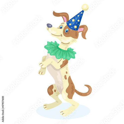 Funny circus dog stands on its hind legs. In cartoon style. Isolated on white background. Vector flat illustration.