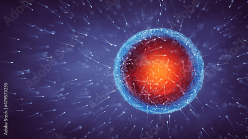 Foto Sperm cells ( Spermatozoa ) fertilizing an egg cell ( Ovum ), Human fertilizatio