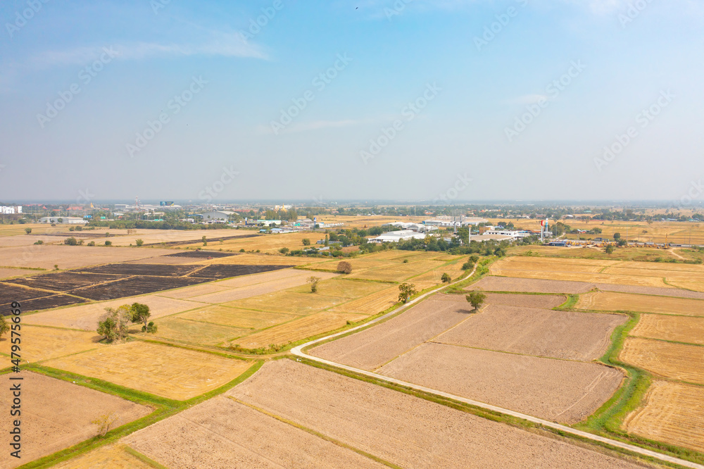 Aerial top view of fresh paddy rice, green agricultural field in countryside or rural area in Asia. Nature landscape background.