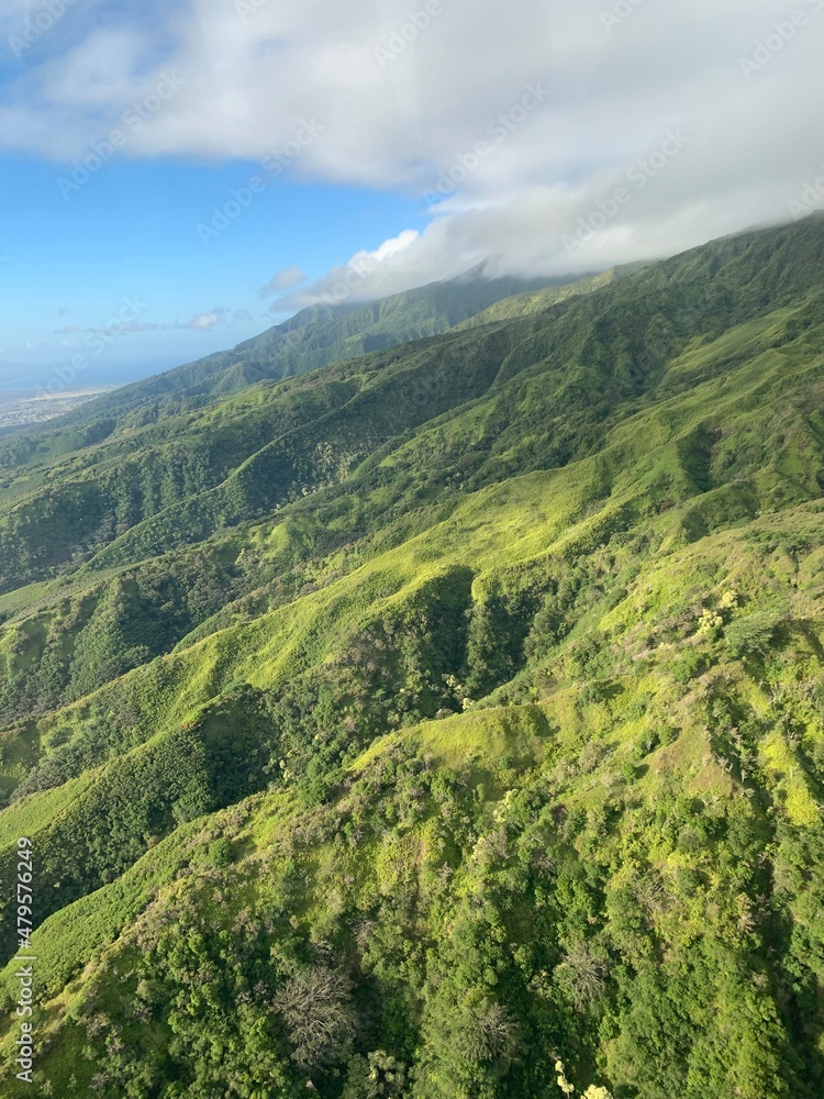 Maui Maui