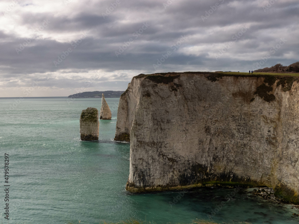 Fototapeta premium the pinnacles Ballard Down Isle of Purbeck Dorset England 