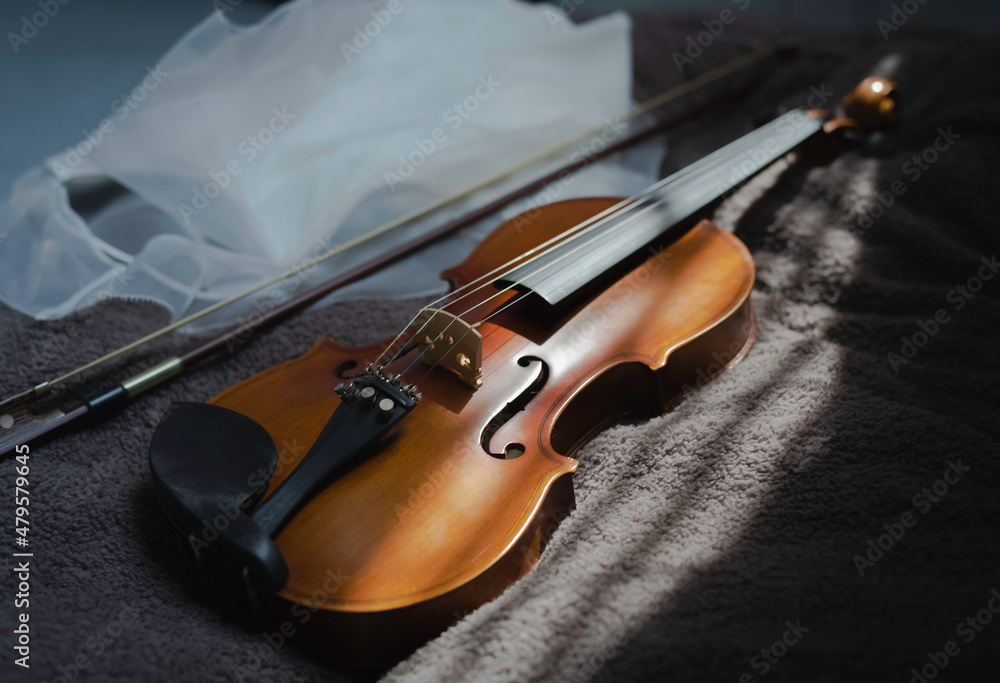 Fototapeta premium Violin put on background,acoustic instrument
