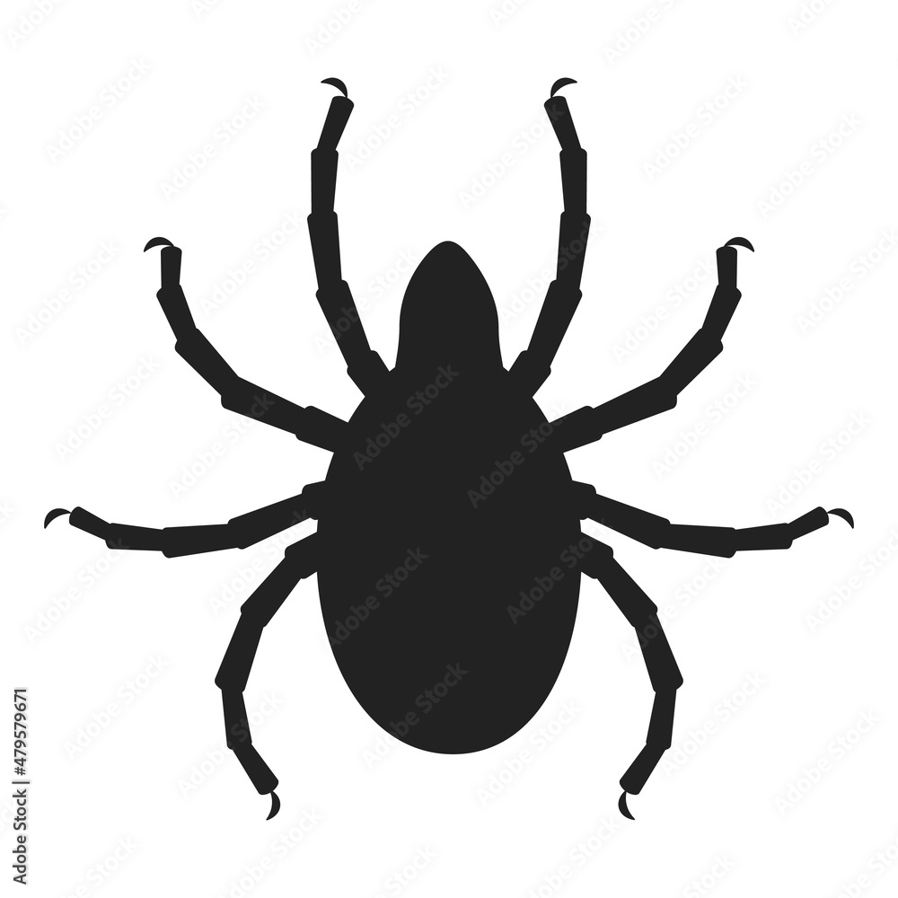 Dangerous tick icon, the cause of encephalitis. Ixadiosis, acariasis. Ixodes persulcatus, Ixodes ricinus. Insect, pest. Black silhouette, flat minimal design, isolated on white background, vector. Dangerous tick icon, the cause of encephalitis. Ixadiosis, acariasis. Ixodes persulcatus, Ixodes ricinus. Insect, pest. Black silhouette, flat minimal design, isolated on white background, vector.