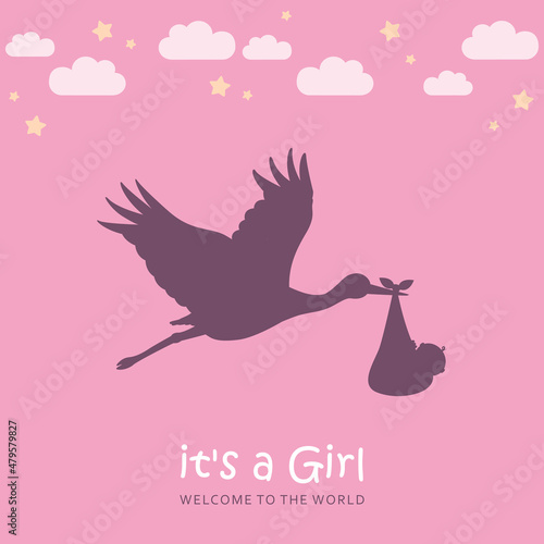baby greeting card with cartoon stork with newborn baby girl