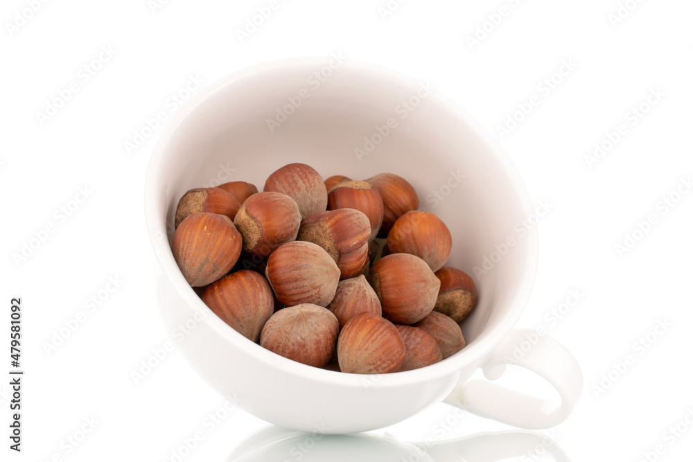 Several organic hazelnuts in a white ceramic cup, close-up, isolated on white. Several organic hazelnuts in a white ceramic cup, close-up, isolated on white.
