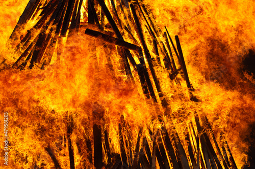 A big burning fire in the forest in cloudy weather. A burning bonfire of thin logs. An open flame. Beautiful bright orange flames close-up