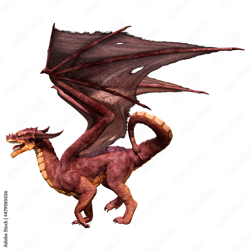 Fototapeta premium 3D Rendering Fairy Tale Dragon on White