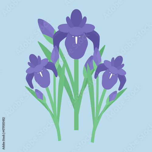 シンプルでかわいい菖蒲のイラスト