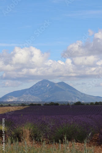 mountain provence