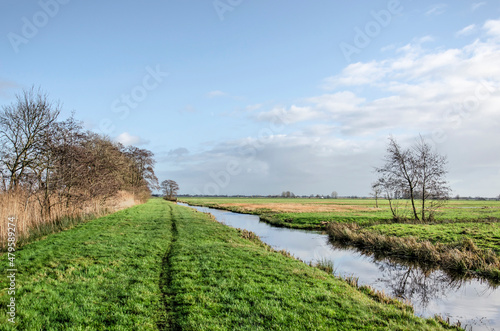 Grassy hiking trail between a ditch and a row of trees, bushes and reeds on a sunny winter day in Krimpenerwaard polder in the Netherlands