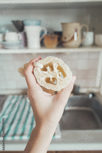 Fotografie natural loofah
