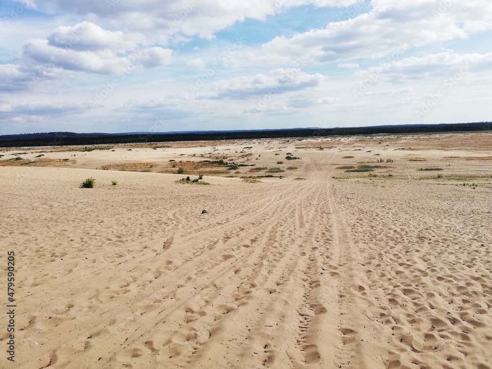Sandy areas. Błedowska Desert. Poland. Beautiful landscape.
