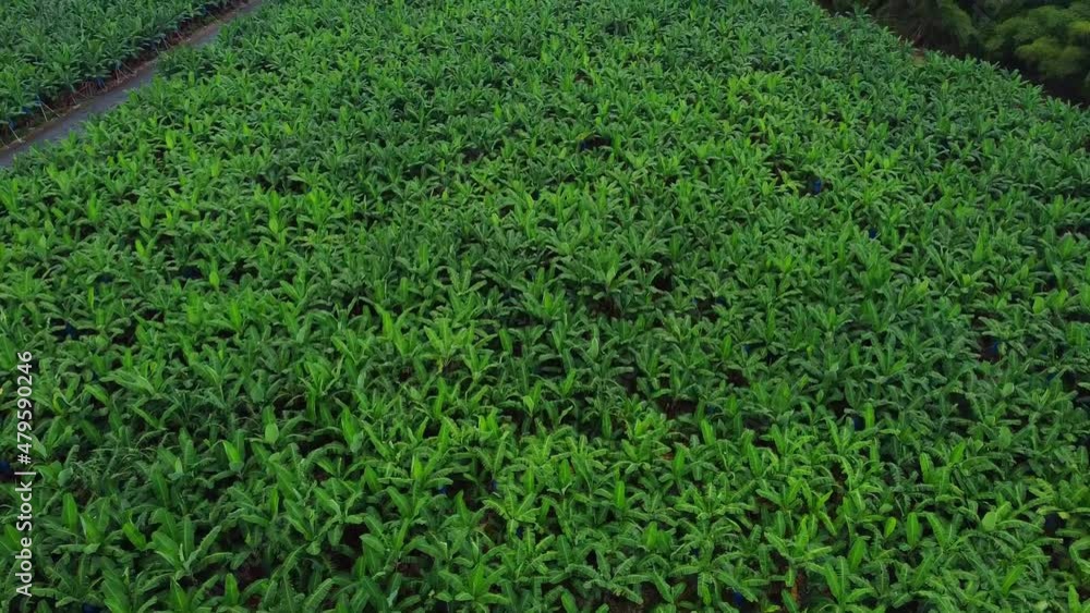 EL CAMPO Y LA AGRICULTURA SON VITALES PARA EL FUTURO EL CAMPO Y LA AGRICULTURA SON VITALES PARA EL FUTURO