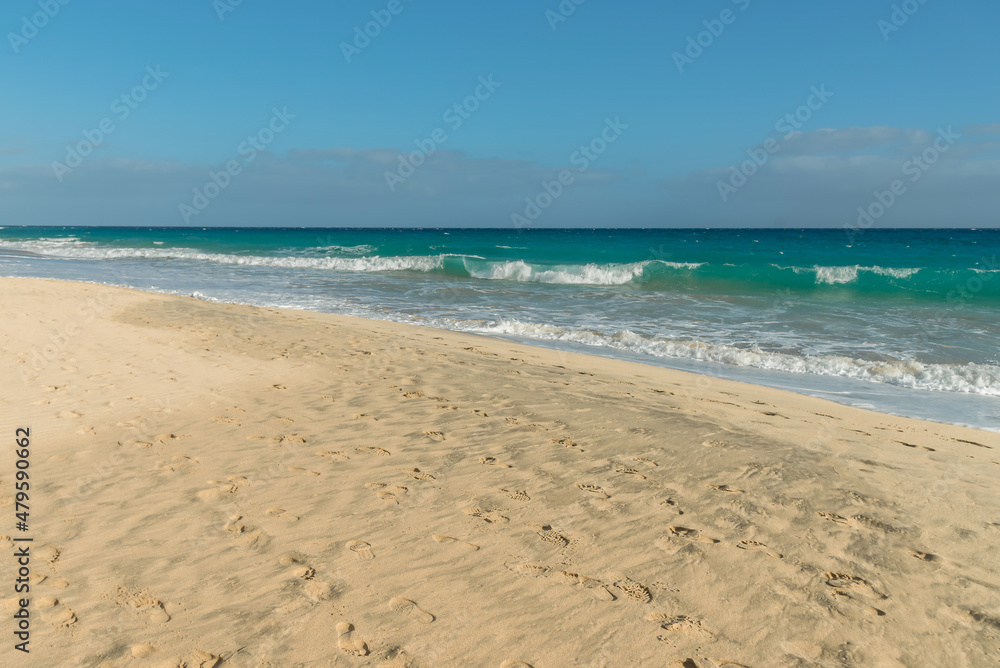 sea sandy deserted beach , Fuertoventura