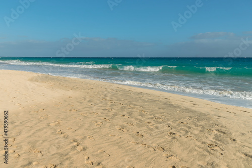 sea sandy deserted beach   Fuertoventura