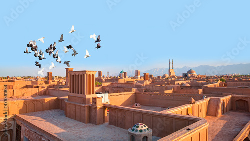 Birds flying in the blue sky, a flock of pigeons soar in the sky - Historic city of Yazd with famous wind towers - YAZD, IRAN