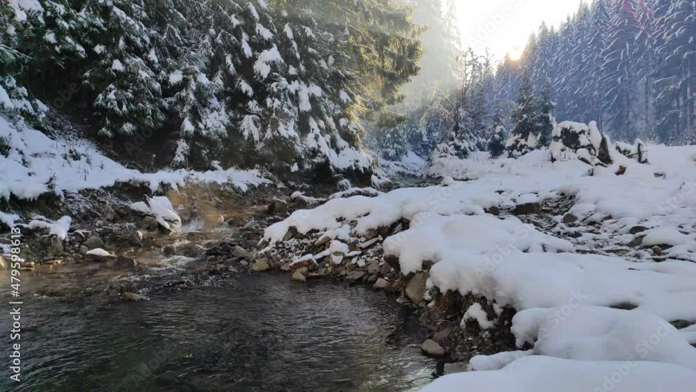сhristmas tale. early morning in the forest. rays of sun pass through fir trees. winter landscape. mountain river. spruces and trees covered with snow. natural sound сhristmas tale. early morning in the forest. rays of sun pass through fir trees. winter landscape. mountain river. spruces and trees covered with snow. natural sound