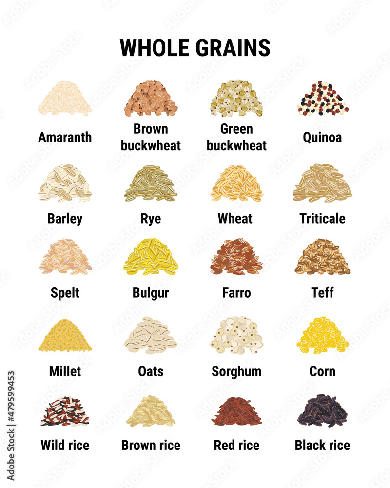 Whole grains infographic. Healthy cereal grains. Wheat, barley, brown