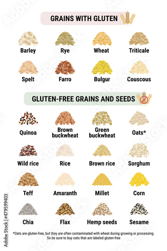 Gluten-free and containing gluten grains infographic. Healthy and unhealthy grains and seeds by celiac disease. Vertical format. Wheat, barley, rye, triticale. Hand drawn vector illustration