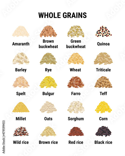 Whole grains infographic. Healthy cereal grains. Wheat, barley, brown rice, corn, buckwheat. Hand drawn vector illustration