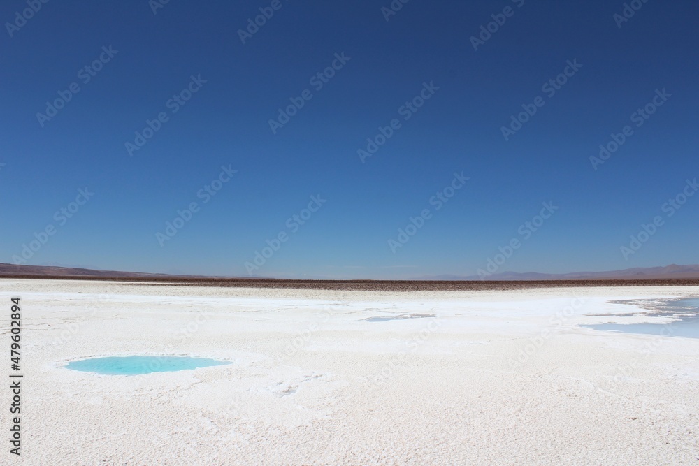 Hidden lagoons Baltinache (Lagunas Escondidas de Baltinache) Atacama Desert, Chile. South America.