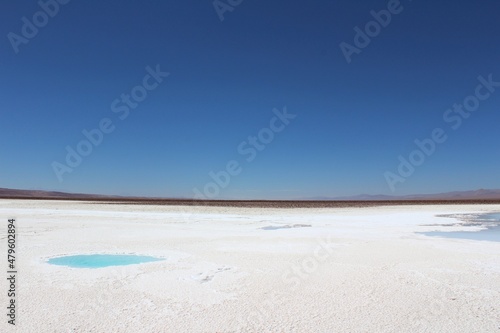 Hidden lagoons Baltinache  Lagunas Escondidas de Baltinache  Atacama Desert  Chile. South America.