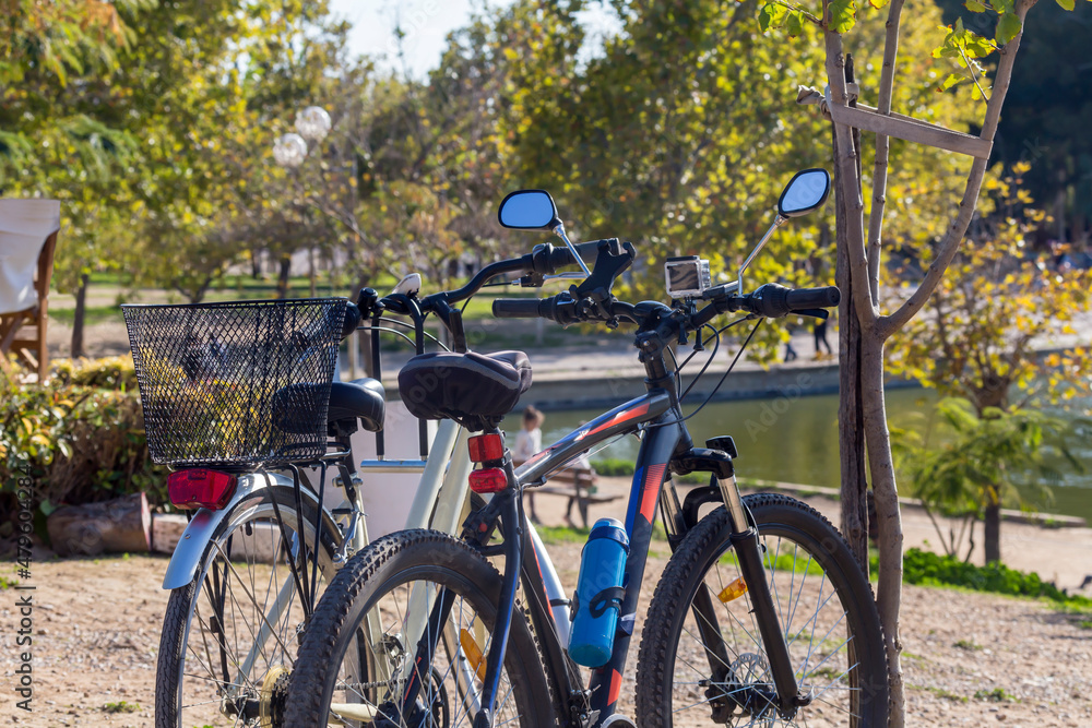 Two bicycles are parked near a tree close-up
