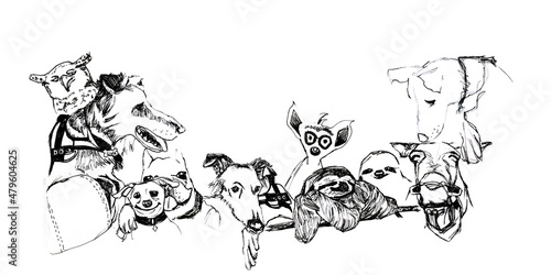 Banner con cornice di animali vari in bianco e nero, disegno a mano libera isolato su sfondo  ianco photo