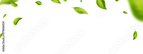 Green flying leaves frame. Leaf falling. Fresh tea background. Beauty product. Green foliage ornament. Vegan, eco, organic design element. Cosmetic pattern border. Vector illustration