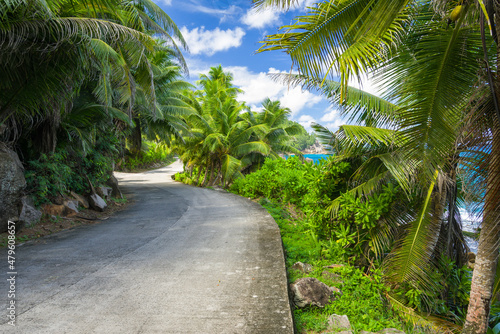 Fototapeta Naklejka Na Ścianę i Meble -  A road near Police bay on Mahe island in Seychelles.