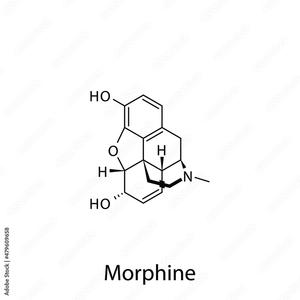 Morphine molecular structure flat skeletal chemical formula Opioid