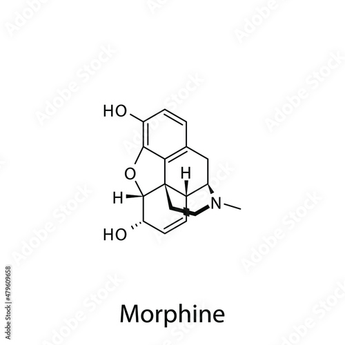 Morphine molecular structure, flat skeletal chemical formula. Opioid, painkiller, narcotic, analgesic drug used to treat . Vector illustration.