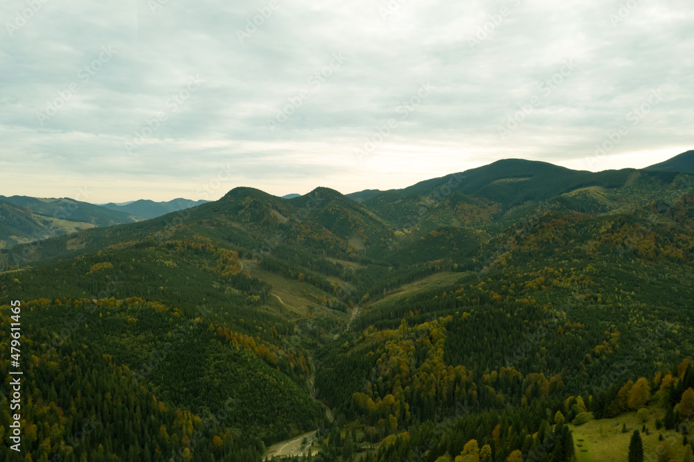 Aerial view of beautiful mountain forest on autumn day