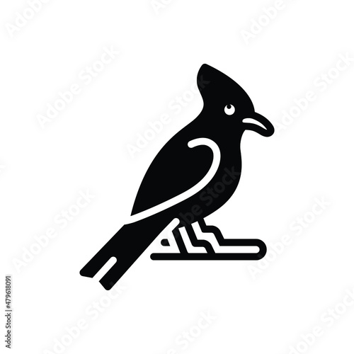 Black solid icon for jay bird