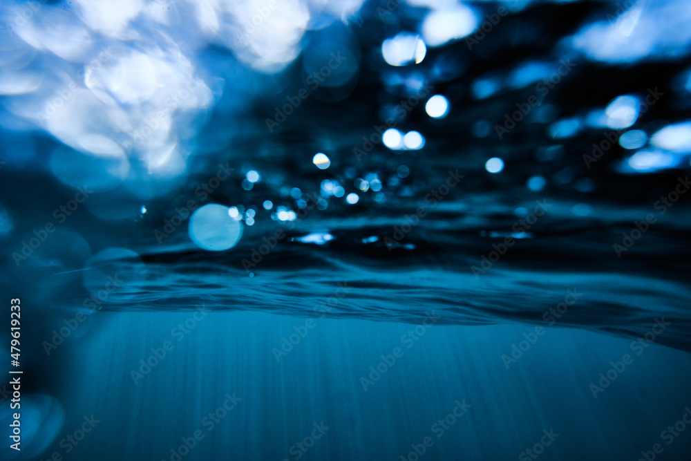 Rays in blue water Rays in blue water