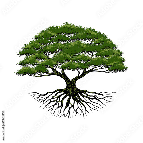 stylized illustration of roots and trees.
