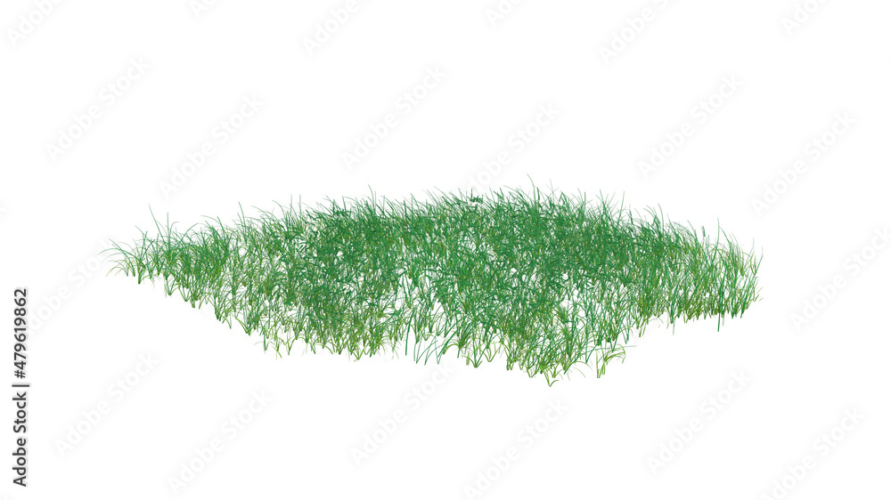 field grass without shadow 3d render field grass without shadow 3d render
