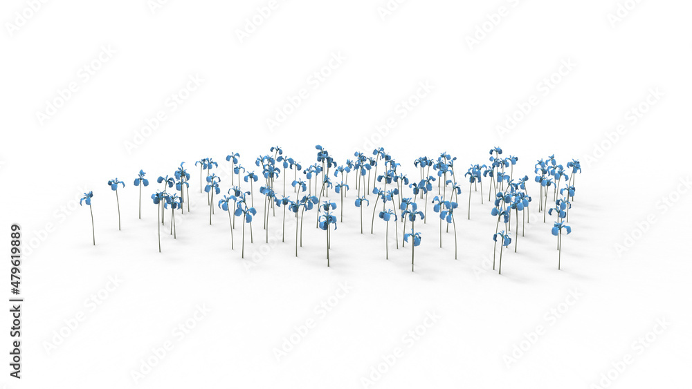 irish blue flower with shadow 3d render irish blue flower with shadow 3d render