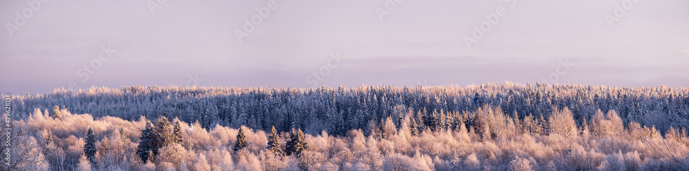 Wonderful winter scenery. Beautiful snowy forest, with a small church among the trees, against the backdrop of a frosty sky. Panorama.